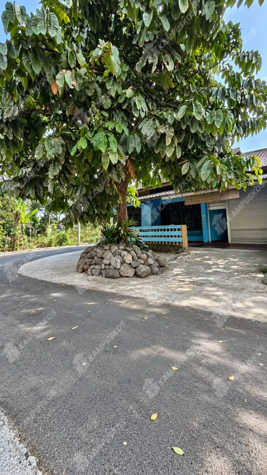 Galeri Foto